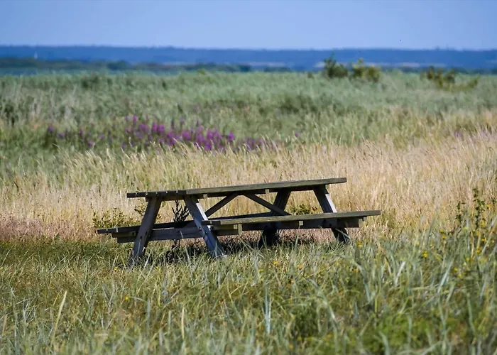 C11714-hemmet-traeskoen-8 Hemmet